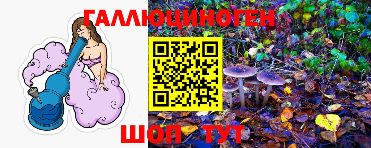 Псилоцибиновые грибы мицелий Борисоглебск