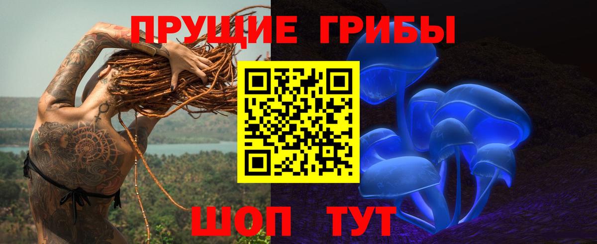 где продают наркотики  Галлюциногенные грибы Cubensis  Вход с VPN  Борисоглебск 